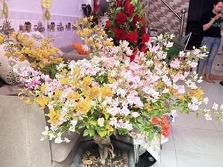 Bán nhà riêng tại đường cao lỗ, phường 4, quận 8, hồ chí minh, 4,5 tỷ, 40m2  khu vip q.8