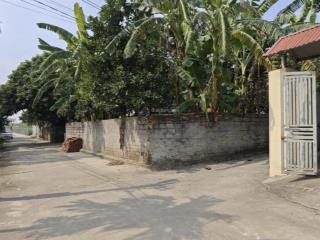 Bán đất ngũ hiệp, đông mỹ, vạn phúc, thanh trì phân khúc từ 2  4 tỷ, giá đầu tư