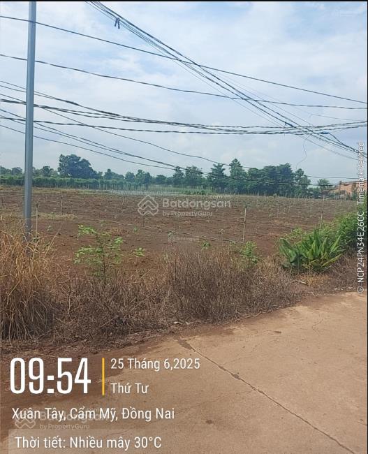 Bán 16000m2 đất ấp 4 xuân tây, cẩm mỹ