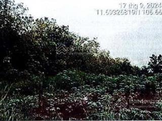 Bán đgts đất tại tđ số 277, x.an khương, h.hớn quản, t.bình phước (nay là x.tân hưng, t.đồng nai)