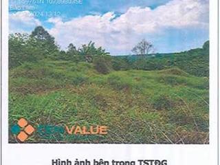 Bán đgts đất tại tđ số 557, xã lộc an, huyện bảo lâm (nay là xã bảo lâm 2), tỉnh lâm đồng