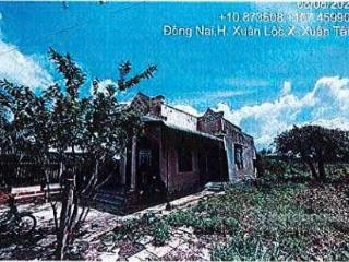 Bán đgts đất tại xã xuân tâm, huyện xuân lộc (nay là xã xuân hòa), tỉnh đồng nai