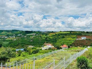527m2 đất có thổ cư thị trấn nam ban ven đà lạt, tặng hàng rào đẹp