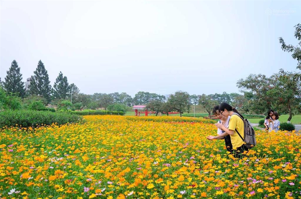Chính chủ cần bán căn bt đơn lập vip 600m2, vị trí vip nhất dự án. the phoenix garden (miễn tg)
