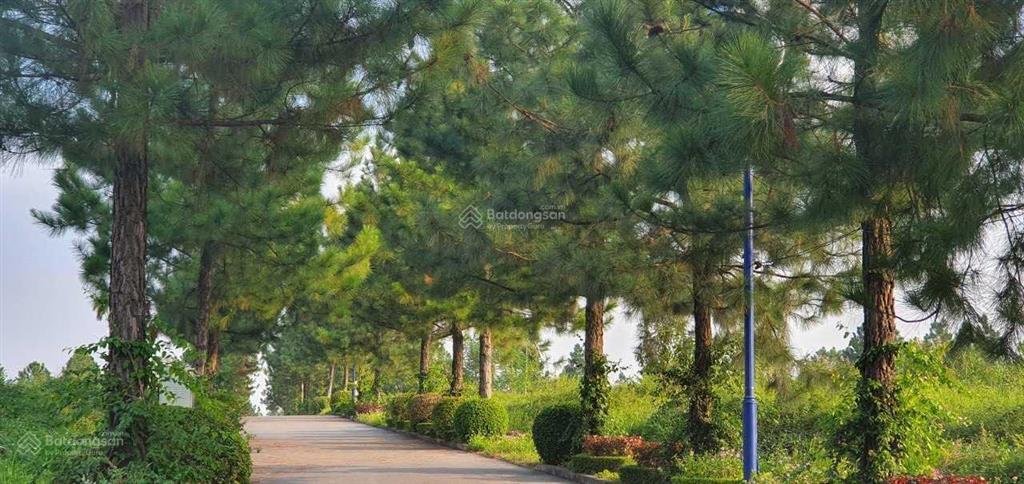 Chính chủ cần bán căn bt đơn lập vip 600m2, vị trí vip nhất dự án. the phoenix garden (miễn tg)