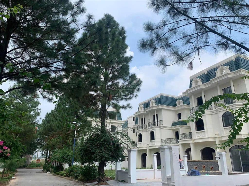 Giá chạm đáy 7x tr/m2! cần bán lô đất 400m², mặt tiền 16m, hướng tây. the phoenix garden