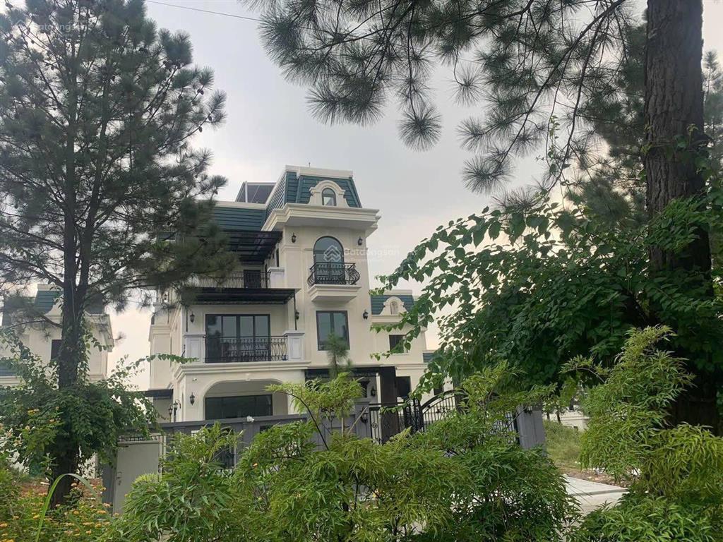 Giá chạm đáy 7x tr/m2! cần bán lô đất 400m², mặt tiền 16m, hướng tây. the phoenix garden