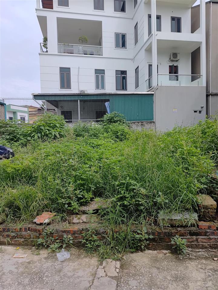 Đất 46m2 đường thông ô tô chạy đại áng thanh trì giá 4.2 tỷ