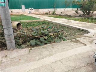 Cần bán 40.2 m2 ngõ 1 đường thụy xuyên  hồng vân  thường tín  giá  2. 45 tỷ