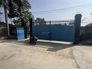 Cho thuê xưởng 1100m2. ấp rừng sến. mỹ hạnh bắc. đức hoà long an