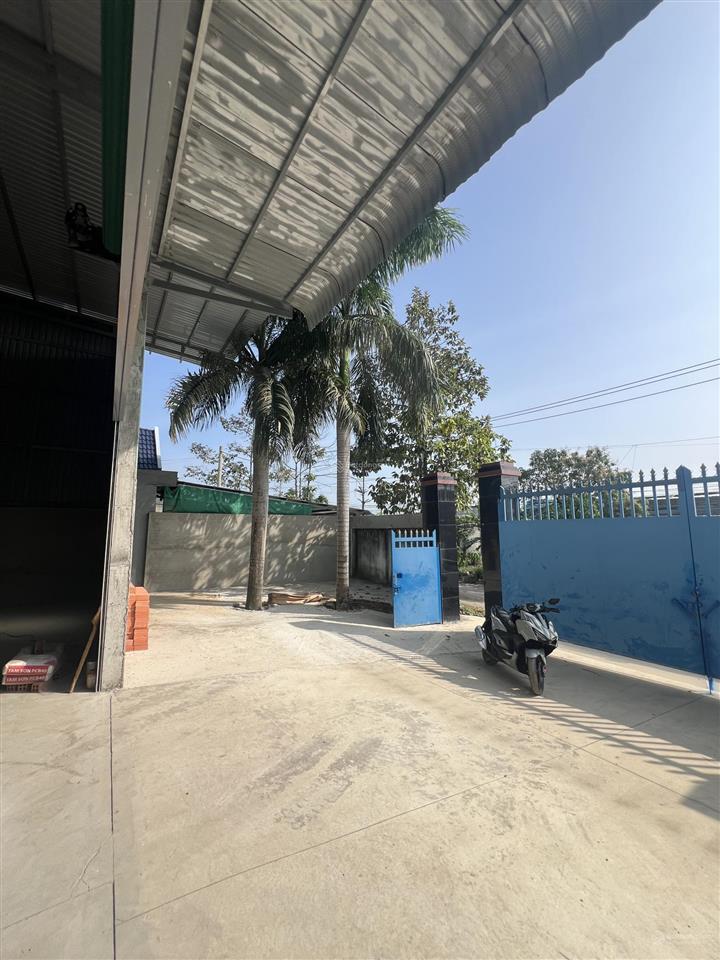 Cho thuê xưởng 1100m2. ấp rừng sến. mỹ hạnh bắc. đức hoà long an