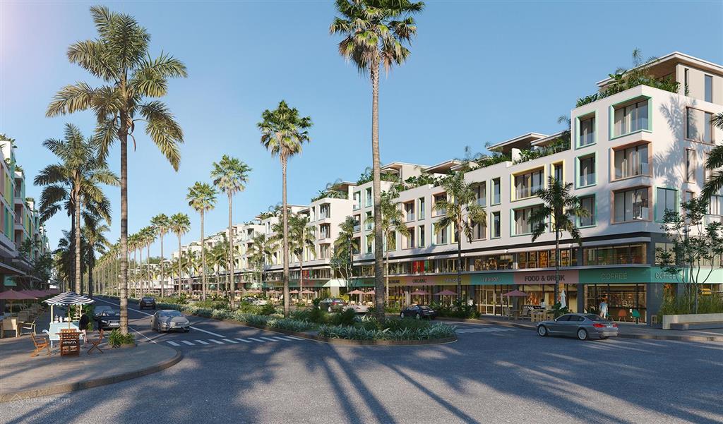 Bán shophouse meyhomes capital mặt đường lớn trung tâm dự án