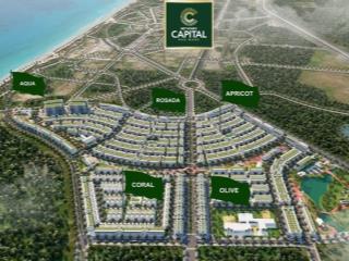 Bán shophouse meyhomes capital mặt đường lớn trung tâm dự án