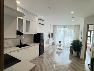 Chính chủ cần bán căn hộ 1n+, 43m2, full đồ, sẵn sổ, giá tốt