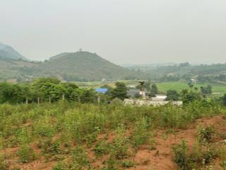 Đất cao phong 2trong1  2.000m² thổ cư + 1.268m² đất trồng  pháp lý rõ ràng , sổ đỏ sẵn !