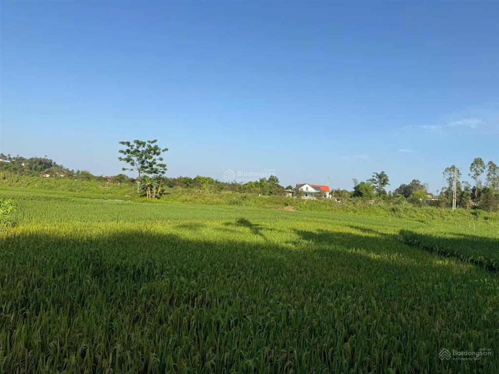 Bán đất tại tân phương, thanh thủy, phú thọ, giá tốt 730 triệu, 106m2