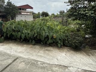 Bán đất tại thôn trà quế, 17,5 tỷ, 500 m2