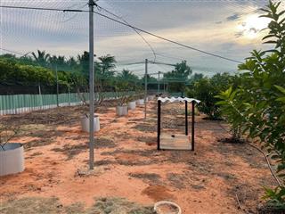 Tổng hợp các lô đất tại xã hoà thắng