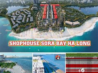 Bim land ra mắt 256 căn thương phố biển tại trung tâm vịnh hạ long  chính thức nhận booking gđ1