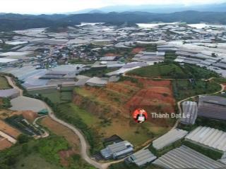 Chính chủ cần bán gấp lô đất đẹp 23.000m2 làm trang trại sinh thái ở thị trấn lạc dương, tp. đà lạt