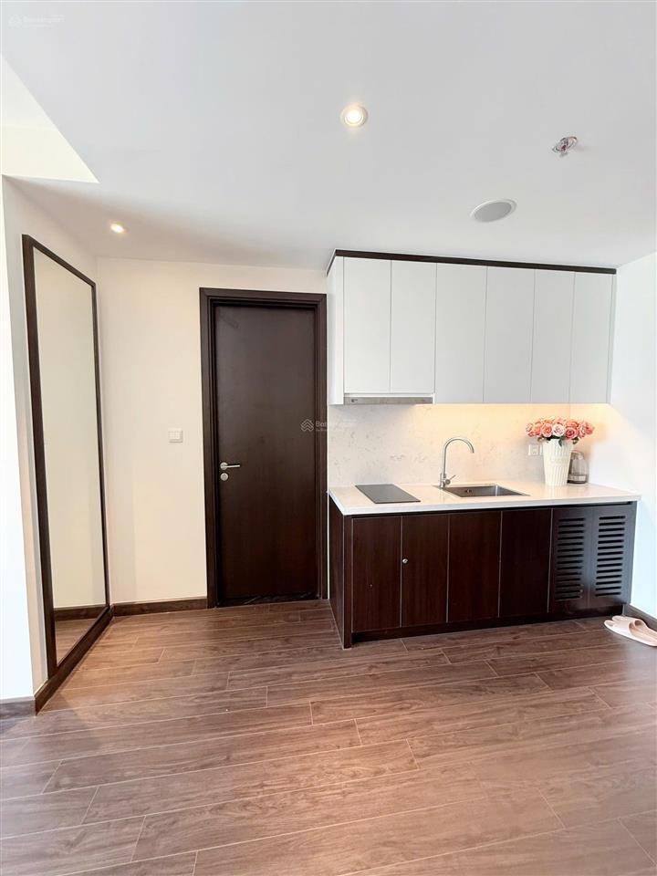 Bán cắt lỗ 500tr căn hộ 2pn 53m2 view chếch biển chung cư the sapphire s2, trung tâm tp. hạ long