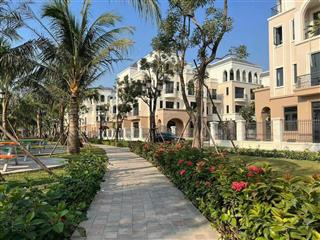 Không còn căn nào rẻ hơn, hải âu vinhomes ocean park 2, 65m2 giá 8.850 tỷ