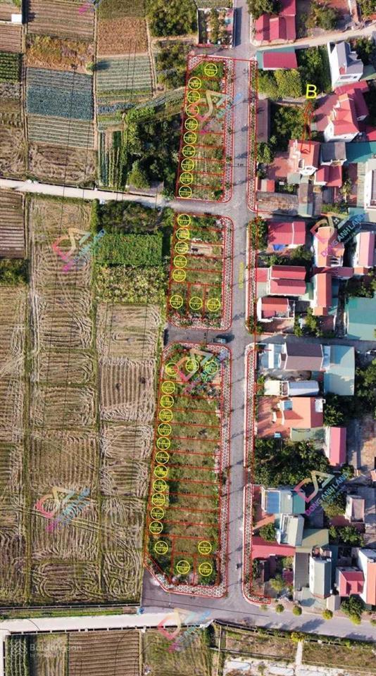 Bán đất đấu giá x9 cán khê, nguyên khê, đông anh mặt đường 40m kinh doanh view công viên