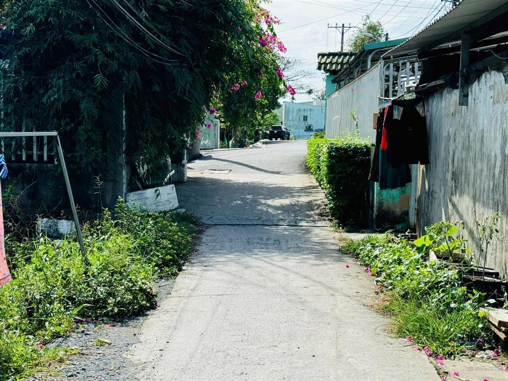 Bán đất vườn gần bệnh viện nhi đồng 3, trường đại học y khoa phạm ngọc thạch