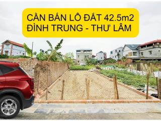 Cần bán lô 42,5m đình trung, thư lâm, đông anh