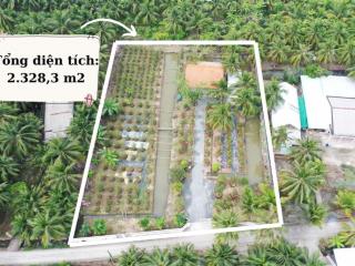 Chính chủ cần bán đất vườn mặt tiền đường 3m, có thổ cư