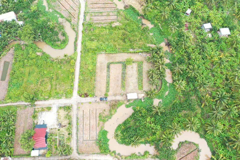 Nhà vườn 330m² cạnh kcn giao long  sáng hái rau, chiều câu cá, ô tô vào tận cửa.