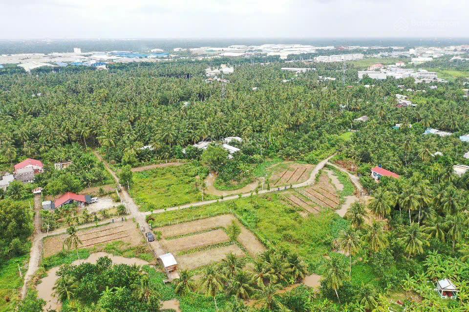 Nhà vườn 330m² cạnh kcn giao long  sáng hái rau, chiều câu cá, ô tô vào tận cửa.
