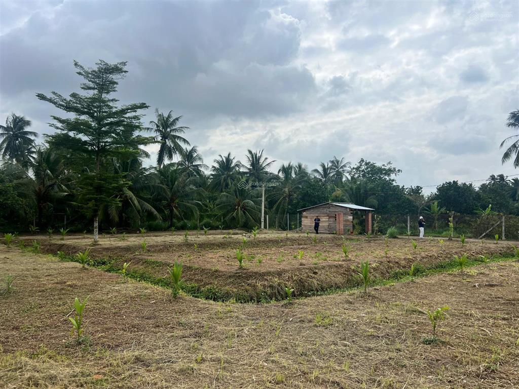Nhà vườn 330m² cạnh kcn giao long  sáng hái rau, chiều câu cá, ô tô vào tận cửa.