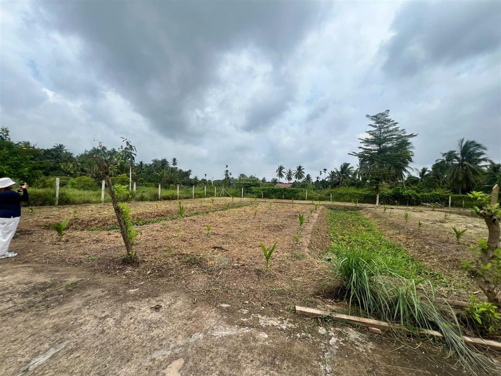 Nhà vườn 330m² cạnh kcn giao long  sáng hái rau, chiều câu cá, ô tô vào tận cửa.