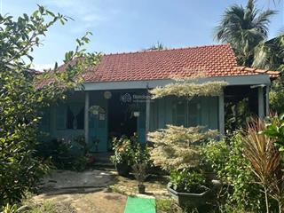 Đất vườn đẹp 2.000m² sổ sẵn, giá chỉ 2,5 tỷ, xem là chốt!