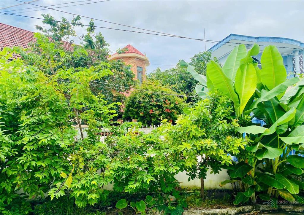 Hiếm có trong khu vực! chủ bán gấp nhà vườn cấp 4 vĩnh hiệp nha trang, cách biển nha trang chỉ 5km