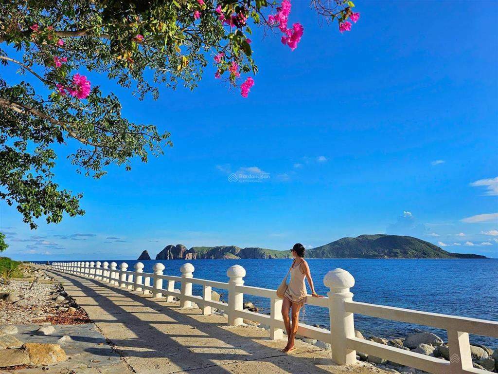 Chủ cần bán nhà cấp 4 đảo bích đầm, phường nha trang, khánh hòa  có sổ hồng đất ở đô thị chỉ 1tỷ2