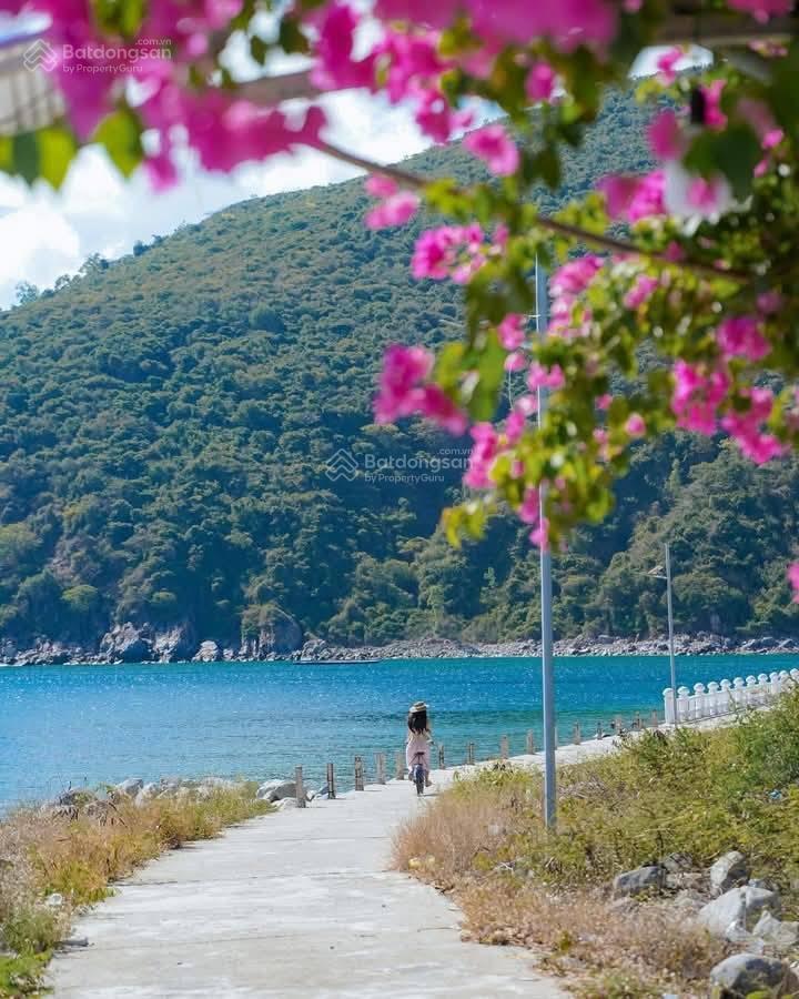 Chủ cần bán nhà cấp 4 đảo bích đầm, phường nha trang, khánh hòa  có sổ hồng đất ở đô thị chỉ 1tỷ2