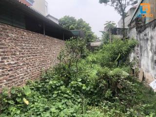 Bán đất trục chính kinh doanh mai lâm cách cầu tứ liên 1km