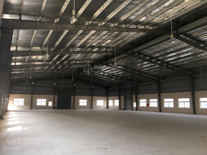 Cho thuê nhà xưởng mới xây dựng tại khu công nghiệp thành thành công trảng bàng, tây ninh