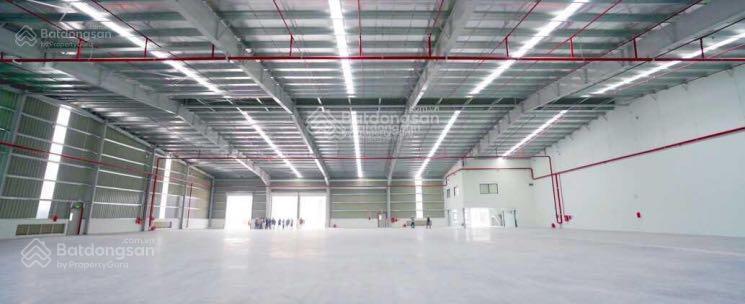 Cho thuê kho xưởng cao tầng tiêu chuẩn trong kcx tân thuận, quận 7, tp.hcm