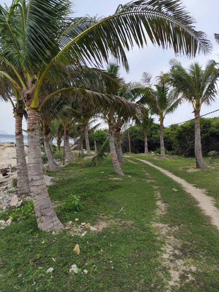 Bán 170m bám mặt biển Ninh Vân Ninh Hoà 0985451850