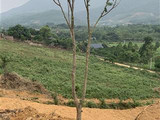 Bán đất 20 sào đất rsx cách hoà lạc 8km ô tô container vào tận đất