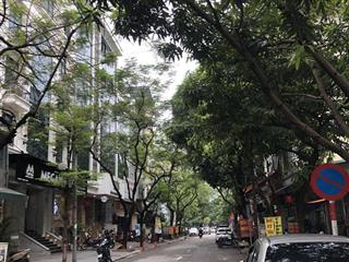 Bán đất mp dịch vọng hậu, cầu giấy dt 300m2 x mt 21 m x nhỉnh 100 tỷ. lô góc, xây toà vp quá đỉnh