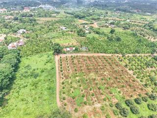 Bán gấp 20x45m DT 900m² Có 80 m2 ONT Gần Chợ Láng Lớn Giá chỉ: 2 triệu/m²
²