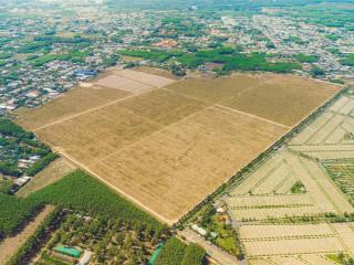 Chuyển nhượng cụm KCN long thành 65ha gần sân bay quốc tế long thành giá 2tr/m2