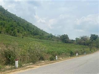 Bán đất mặt tiền tỉnh lộ 5 thôn buôn đung, xã ninh tây, ninh hòa, tỉnh khánh hòa