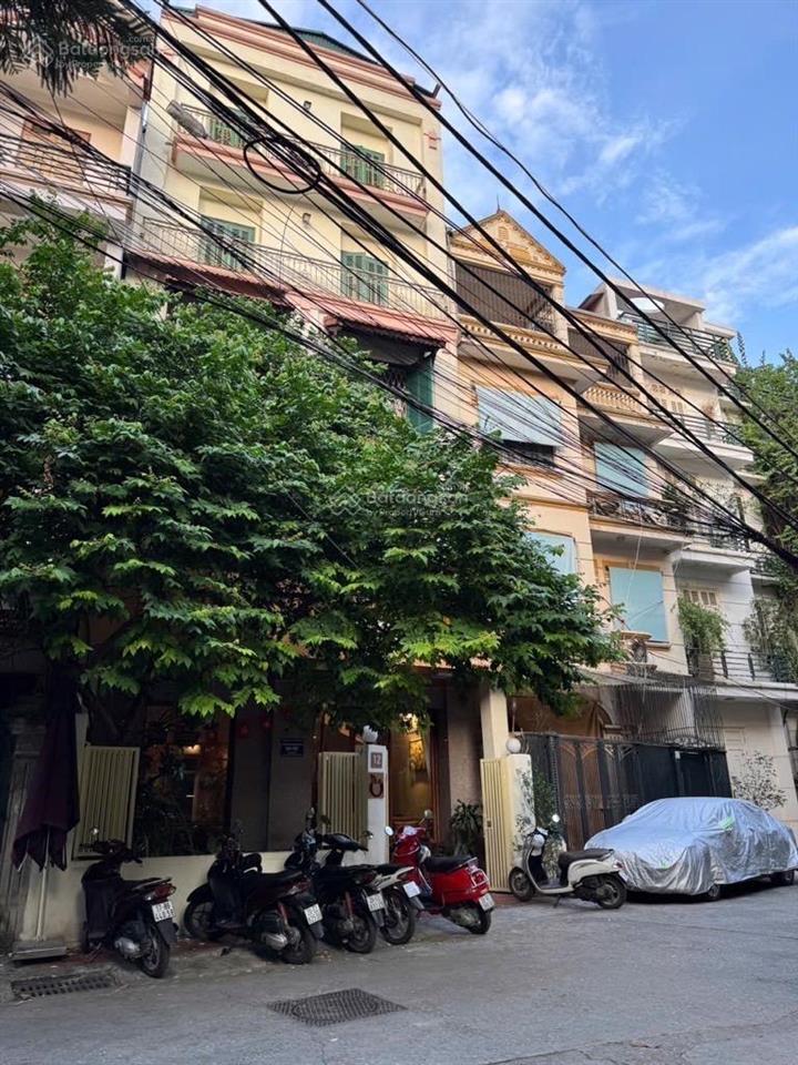 Biệt thự phân lô  phố vip  đội cấn  ô tô tránh  kinh doanh sầm uất  lõi ba đình  mt rộng