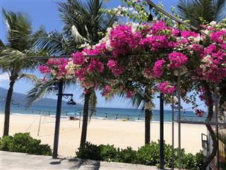 Bán đất mặt tiền bà huyện thanh quan, khu phố biển mỹ khê đất vàng du lịch  dt rộng hiếm có