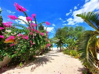 Cơ hội vàng lô đất mặt tiền biển 40m đẹp như tranh vẽ không đâu có, cạnh đồi đá đẹp, công viên